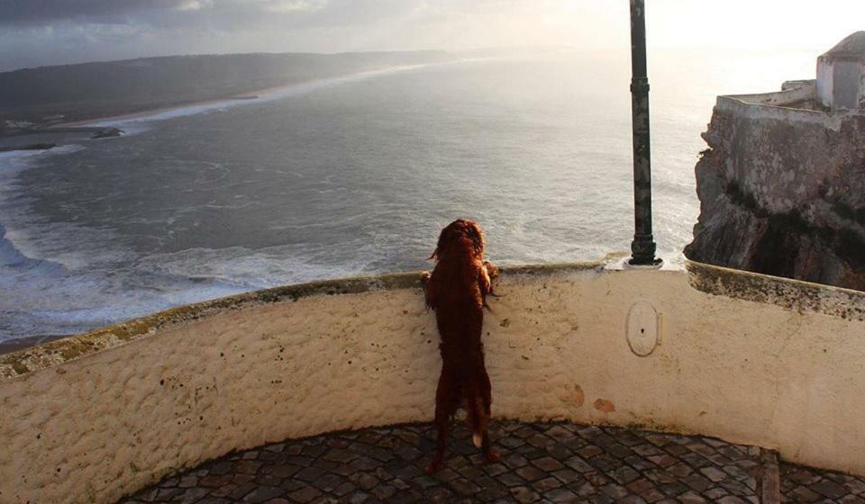Nazare - The Little Star Villa ภายนอก รูปภาพ